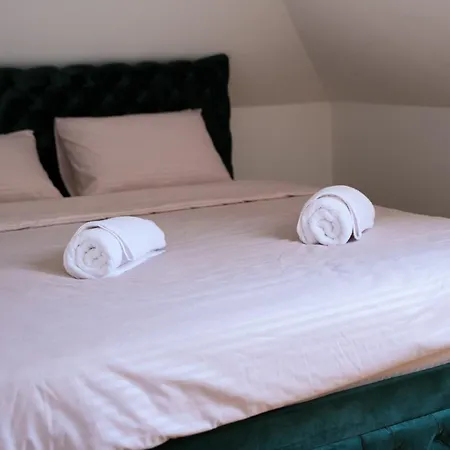 Villa Drina Water House